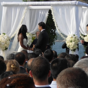Photo of Purple Fox Events