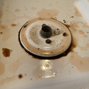 Photo of Lily's General Cleaning & Detailing