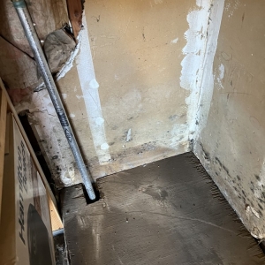 Photo of Rapid restoration