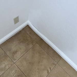 Photo of Rapid restoration
