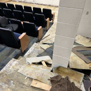 Photo of Rapid restoration