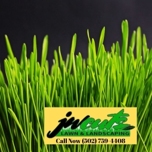 Photo of JW Cuts Lawns and Landscaping