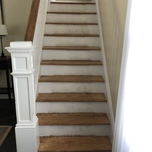 Photo of Hauptman Floor & Window Covering
