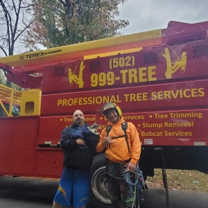 Photo of 999tree