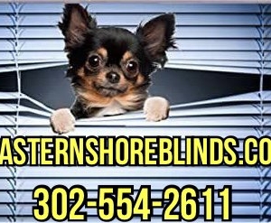 Photo of Eastern Shore Blinds and Shades