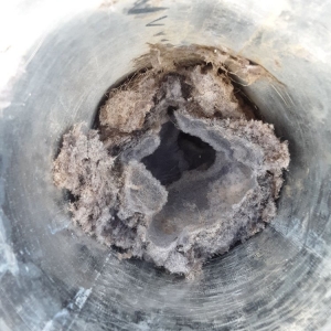 Photo of Above All Chimney Sweep & Dryer Vent Cleaning
