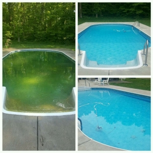 Photo of Bayside Pools