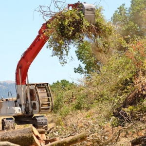 Photo of Parker Land Clearing