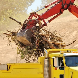 Photo of Parker Land Clearing