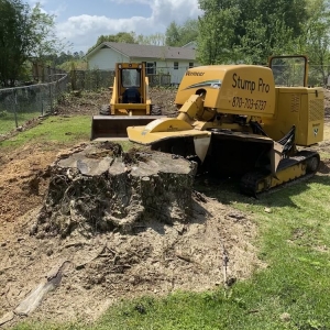 Photo of Stump Pro Grinding
