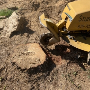 Photo of Stump Pro Grinding