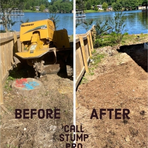 Photo of Stump Pro Grinding