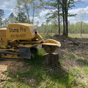 Photo of Stump Pro Grinding