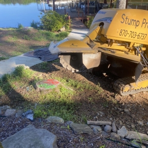 Photo of Stump Pro Grinding