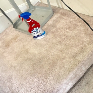 Photo of Portland NW Carpet Cleaning