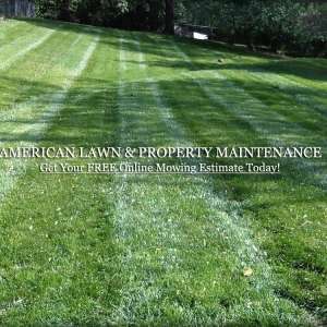 Photo of American Lawn and Property Maintenance