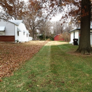 Photo of American Lawn and Property Maintenance