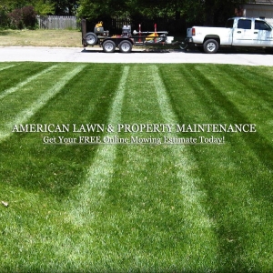 Photo of American Lawn and Property Maintenance