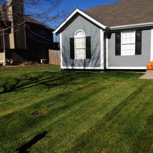 Photo of American Lawn and Property Maintenance