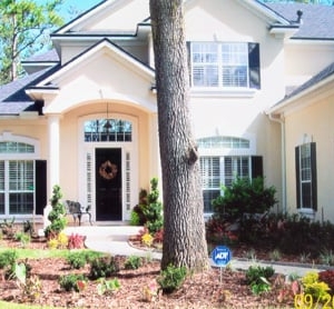 Photo of Landscape Remedies