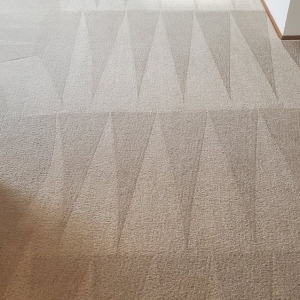 Photo of Five Star Chem-Dry Upholstery & Carpet Cleaning