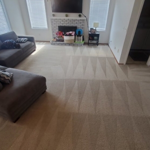 Photo of Five Star Chem-Dry Upholstery & Carpet Cleaning