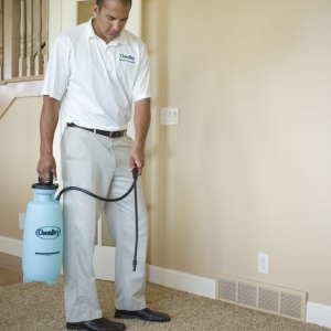 Photo of Five Star Chem-Dry Upholstery & Carpet Cleaning