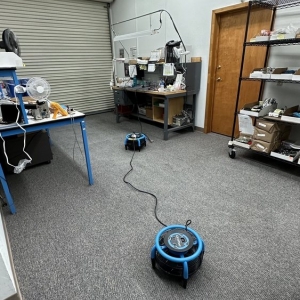 Photo of Lewis Carpet Cleaners