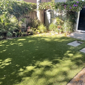 Photo of Artificial Turf Store