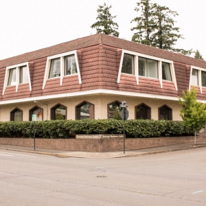 Lake Oswego TNS Repair