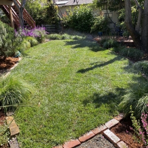 El Cerrito Ecopacha Landscaping