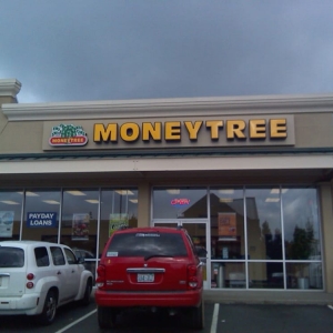 Photo of Moneytree