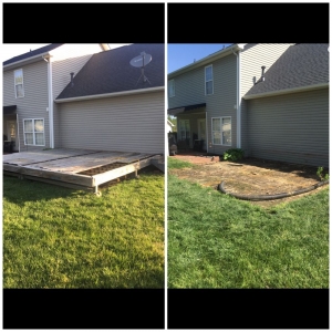 Photo of Rush Removal