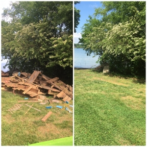 Photo of Rush Removal