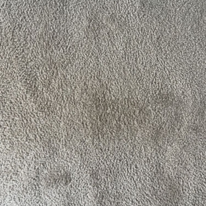 Photo of TopShelf Carpet and Tile Care