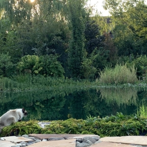 Photo of Eden's Garden Design