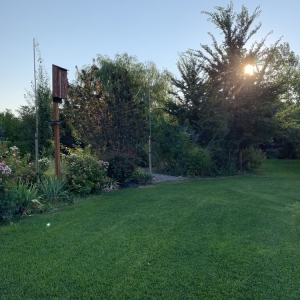 Photo of Eden's Garden Design