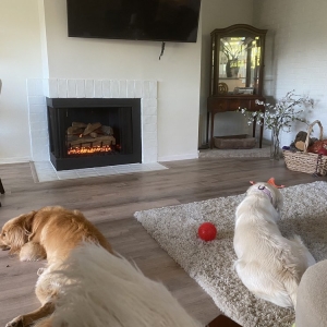 Photo of Bourlier's Barbecue & Fireplace