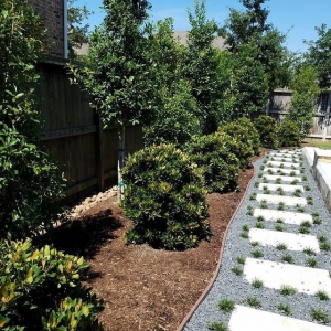 Photo of JMAS Texas Lawn Care