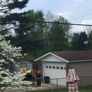 Photo of All In One Tree Service