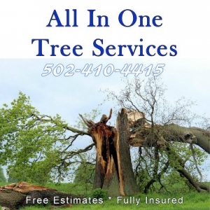 Photo of All In One Tree Service