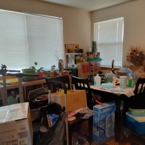 Photo of Shipshape Housekeeping