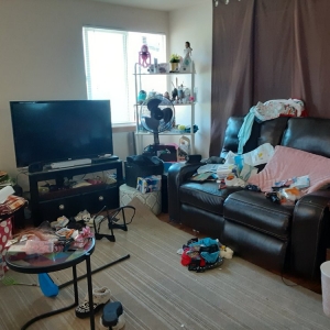 Photo of Shipshape Housekeeping