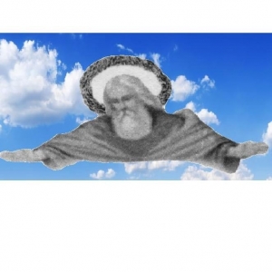 Photo of Blessed Home Cleaning Services, Christ