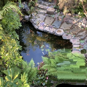 Photo of IRIS Landscaping