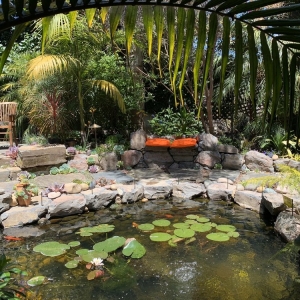 Photo of IRIS Landscaping
