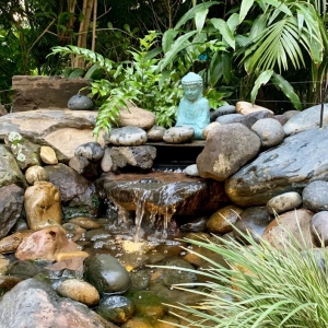 Photo of IRIS Landscaping