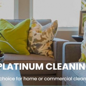 Photo of Platinum Cleaning