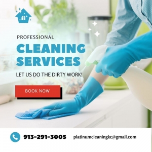 Photo of Platinum Cleaning