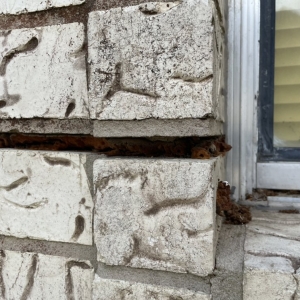 Photo of Done Right Foundation Repair - Houston